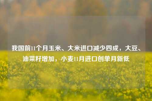 我国前11个月玉米、大米进口减少四成，大豆、油菜籽增加，小麦11月进口创单月新低