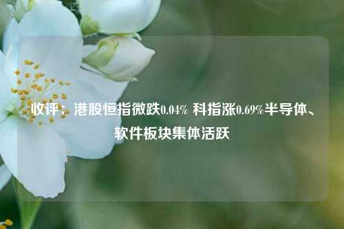 收评：港股恒指微跌0.04% 科指涨0.69%半导体、软件板块集体活跃