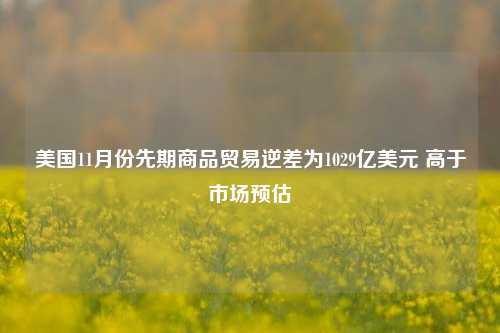 美国11月份先期商品贸易逆差为1029亿美元 高于市场预估