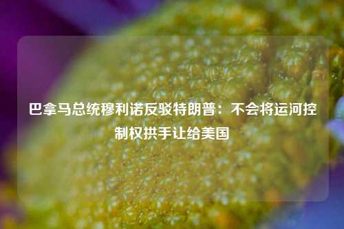 巴拿马总统穆利诺反驳特朗普：不会将运河控制权拱手让给美国