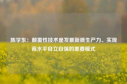 陈学东：颠覆性技术是发展新质生产力、实现高水平自立自强的重要模式